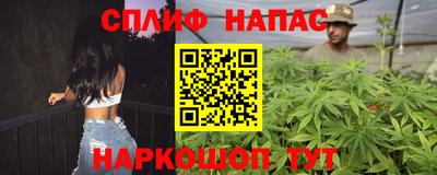 прущие грибы Кимры