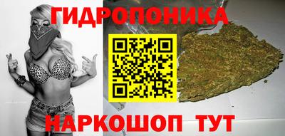 Альфа ПВП Кингисепп