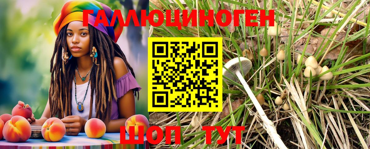 Благовещенск  Галлюциногенные грибы Magic Shrooms  Вход с VPN 
